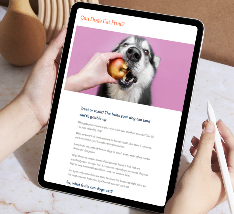 Screenshot of the Petspiration Group blog